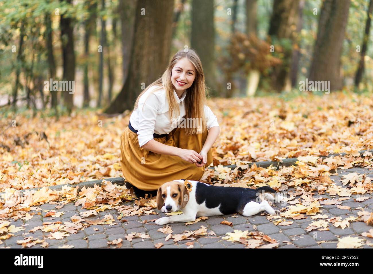 Die junge Frau geht mit einem Beagle-Hund in einem Herbstpark spazieren Stockfoto