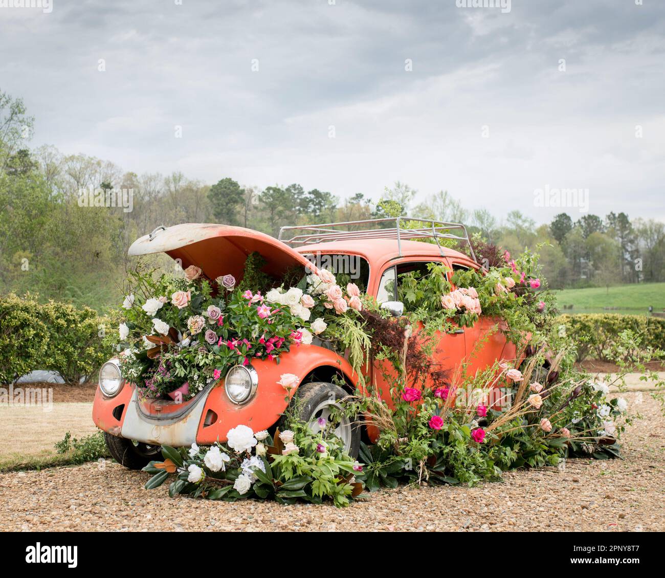 Oldtimer mit Blumen, die daraus wachsen Stockfoto