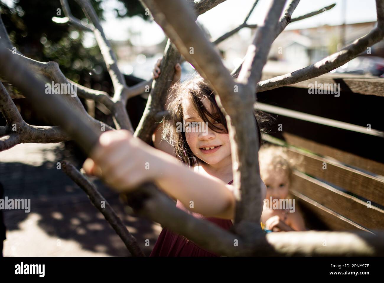 Acht Jahre altes Mädchen, das durch den Baum in San Diego guckt Stockfoto