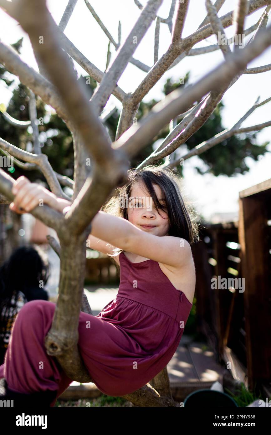 Acht Jahre altes Mädchen in Plumeria Tree in San Diego Stockfoto