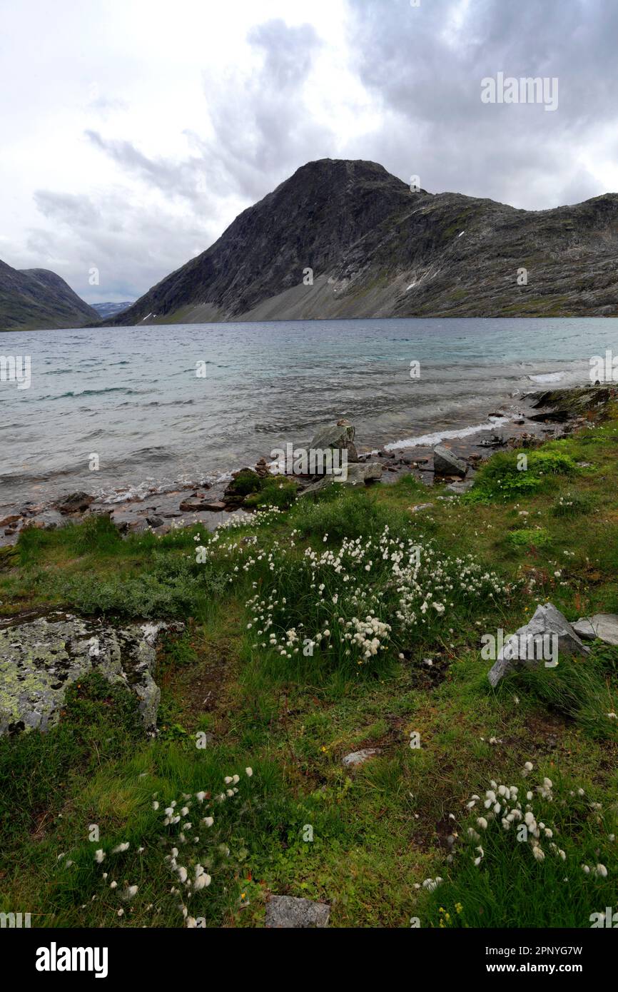 Blick über den Djupvatnet-See, in der Nähe der Stadt Geiranger, UNESCO-Weltkulturerbe, Region Sunnmøre, Kreis Møre Og Romsdal, Westnorwegen, Skandinavien, Euro Stockfoto