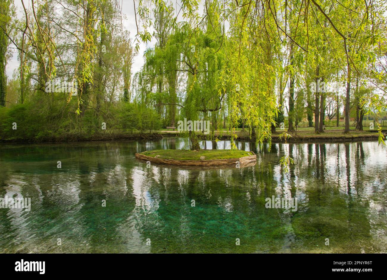 Foto der Trauerweide auf der Insel im wunderschönen See Fonti del Clitunno, Umbrien Stockfoto