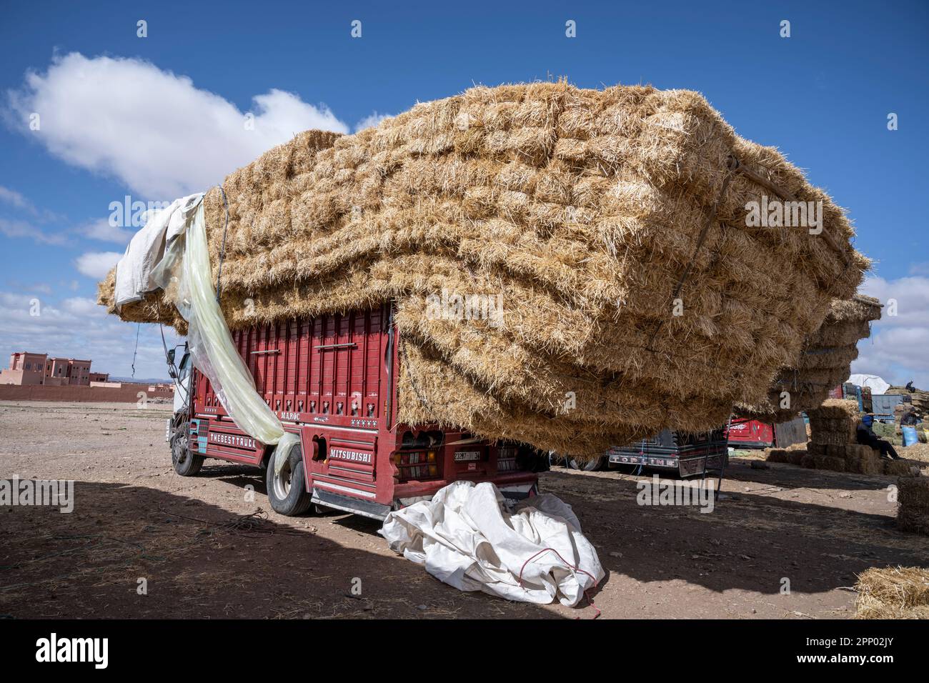 LKW beladen mit Stroh, um es auf dem wöchentlichen Kamelmarkt von Guelmim zu verkaufen. Stockfoto