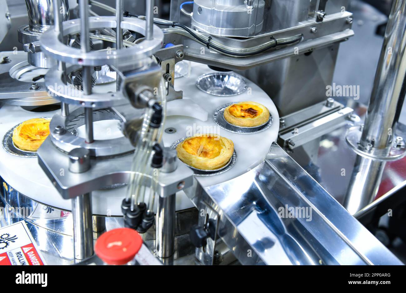 Automatische Produktionslinie für Eierstöcke an Förderbandmaschinen in der Fabrik, industrielle Nahrungsmittelproduktion. Stockfoto