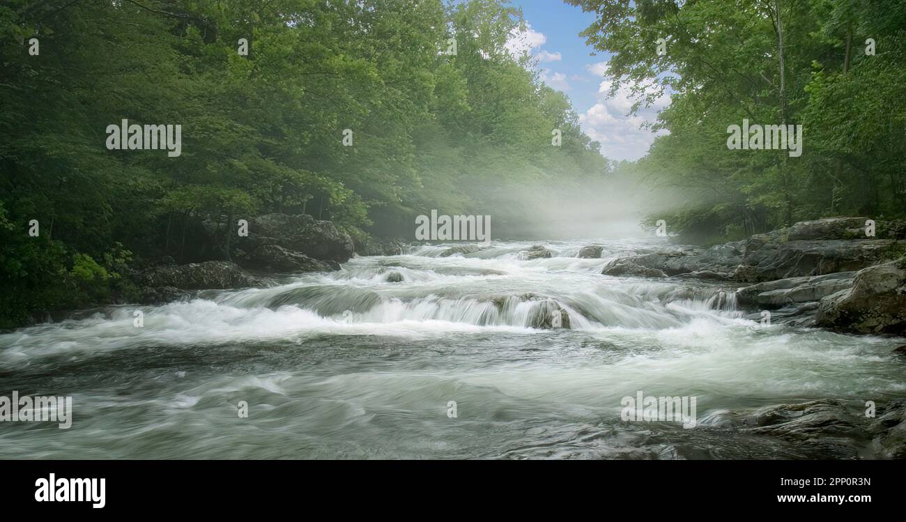 Die mittlere Zinke des Little Pigeon River im Greenbrier Abschnitt des Great Smoky Mountains National Park in Tennessee Stockfoto
