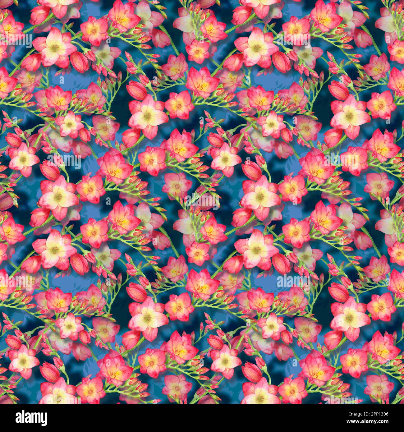 Rote Blumen Freesia, wunderschöner Strauß auf blauem Hintergrund, nahtlose tropische Muster Aquarell Illustration. Stockfoto