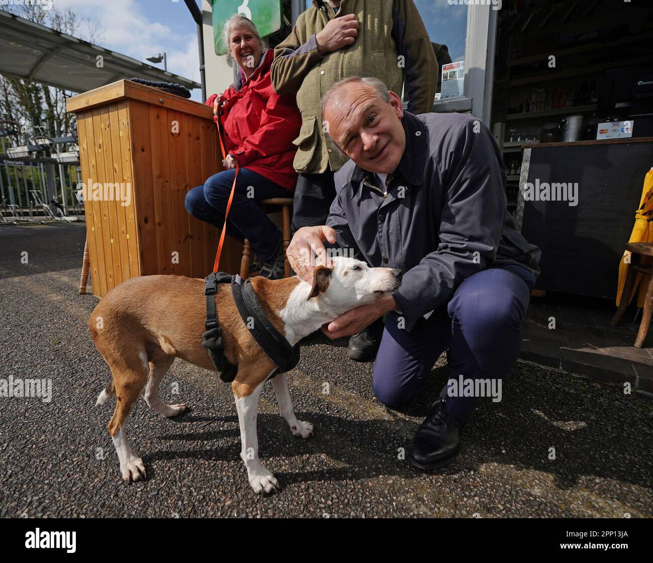 Liberaldemokratischer Führer Sir Ed Davey mit Kipper, einem 14-jährigen Jack Russell Terrier Cross Dog, auf der Spur des lokalen Wahlkampfes in Esher, Surrey, nachdem Vizepremierminister Dominic Raab nach Abschluss einer Untersuchung über Mobbing-Anschuldigungen gegen ihn zurückgetreten ist. Der ehemalige stellvertretende Premierminister ist Abgeordneter von Esher & Walton. Foto: Freitag, 21. April 2023. Stockfoto