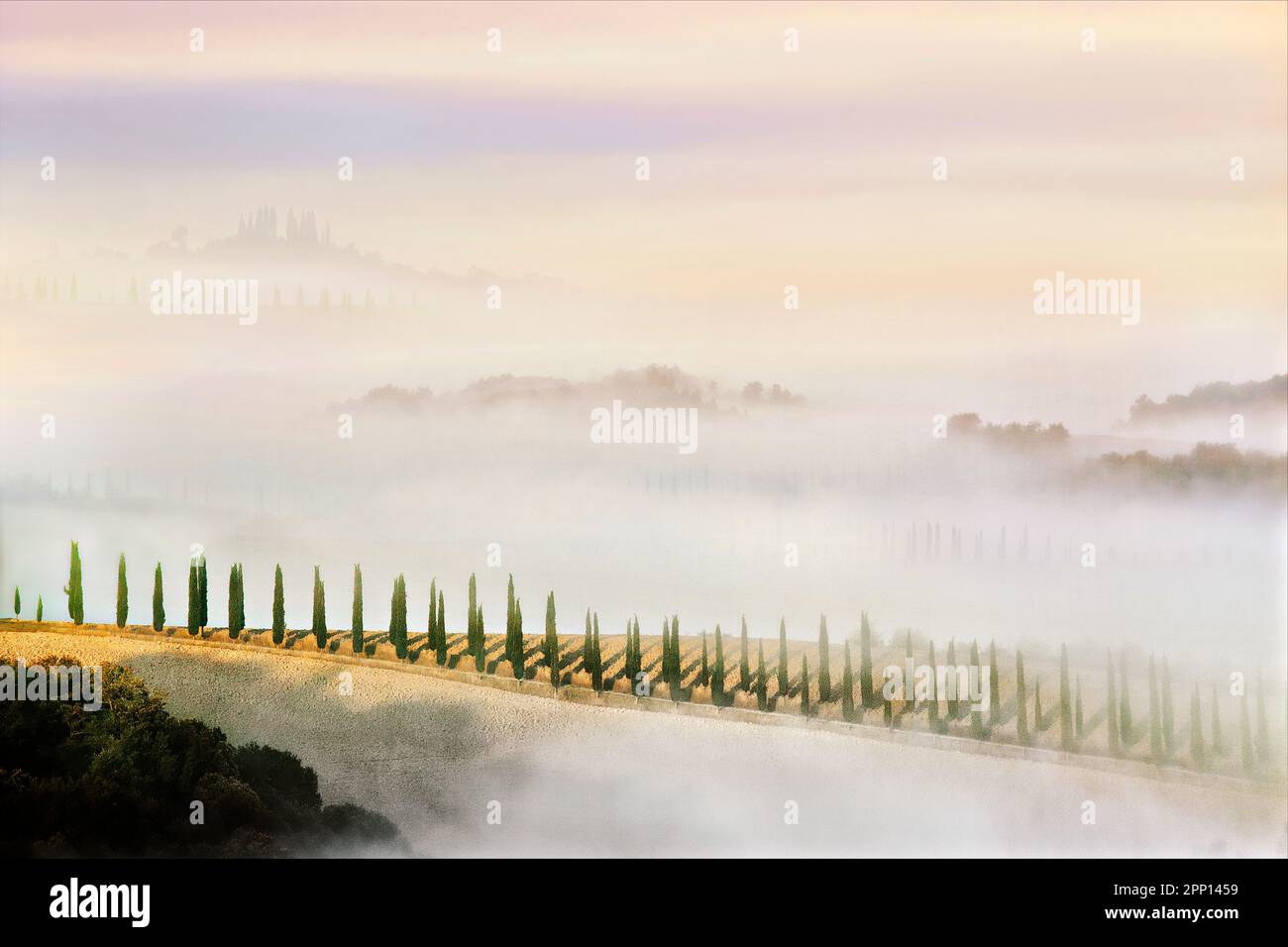 Zypressenlandschaft, Provinz Siena, Toskana, Italien Stockfoto