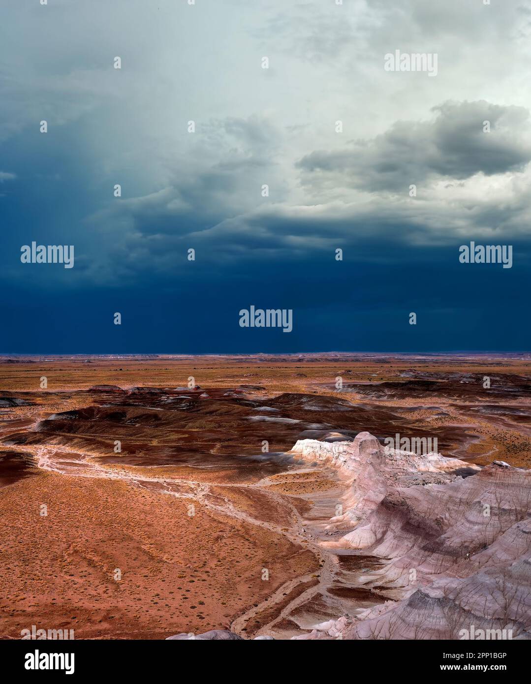 Sturmwolken bilden sich in der bemalten Wüste im Nordosten Arizonas Stockfoto