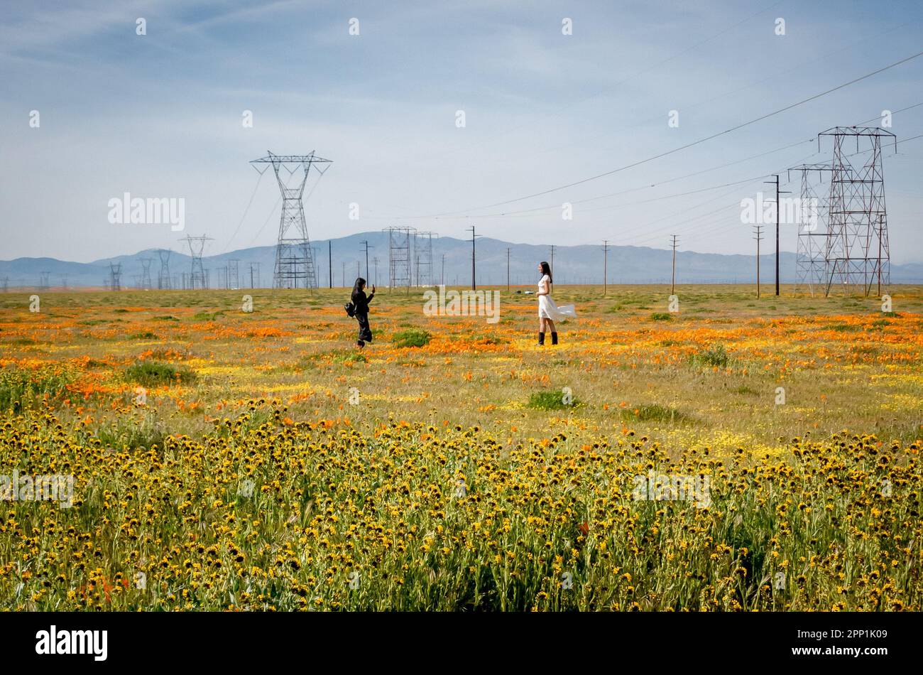 Zwei junge Frauen im Feld der Wildblumen machen während der Superblüte im Antelope Valley California Poppy Reserve, Lancaster, Kalifornien, Telefonfotos. Stockfoto