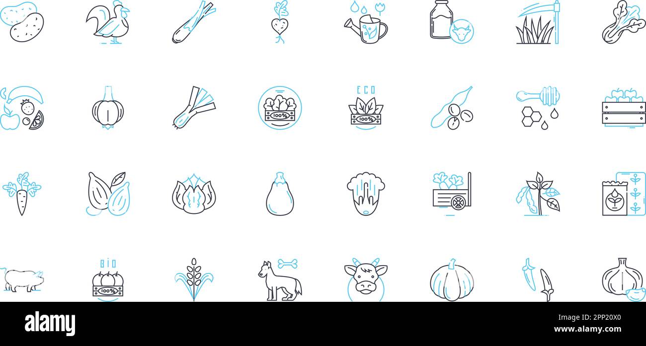 Biodynamische Landwirtschaft - Lineare Symbole gesetzt. Nachhaltigkeit, organisch, Boden, biodynamische Präparate, Kompost, Diversity, Harmony Line Vector und Concept Signs Stock Vektor