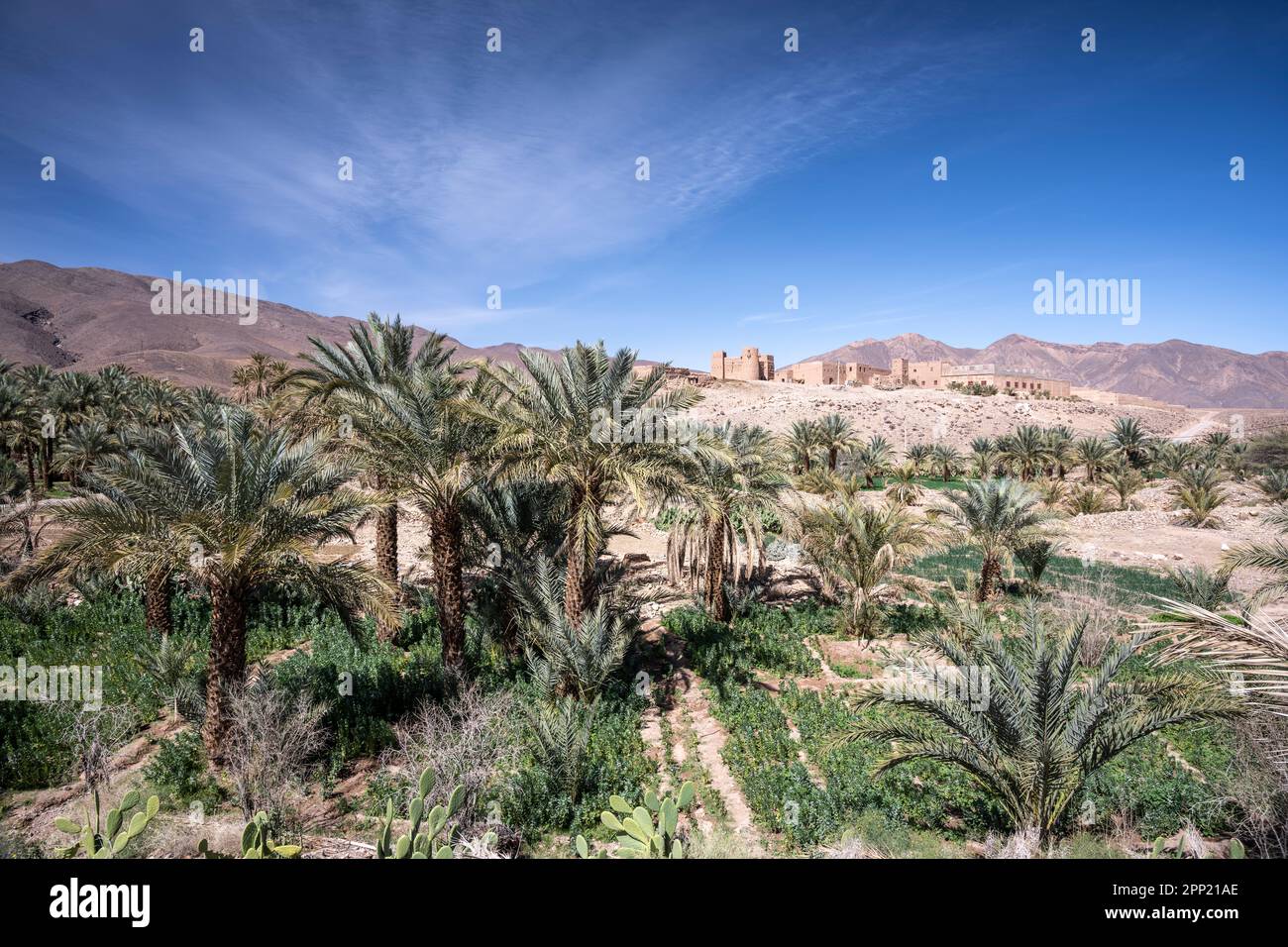 Befestigtes Dorf im Draa-Tal. Stockfoto