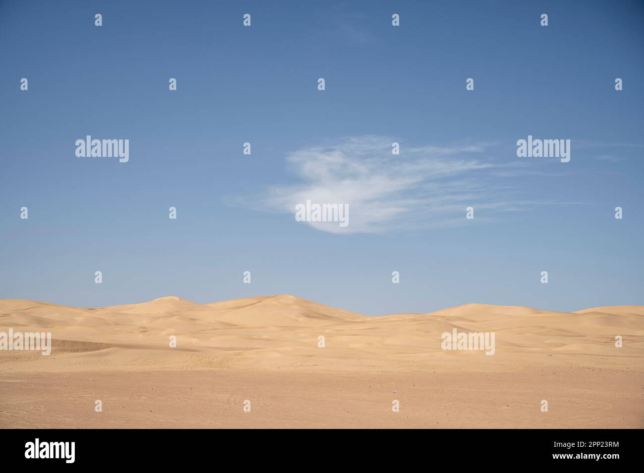 Wüstenlandschaft der Dünen von Erg Chegaga. Stockfoto