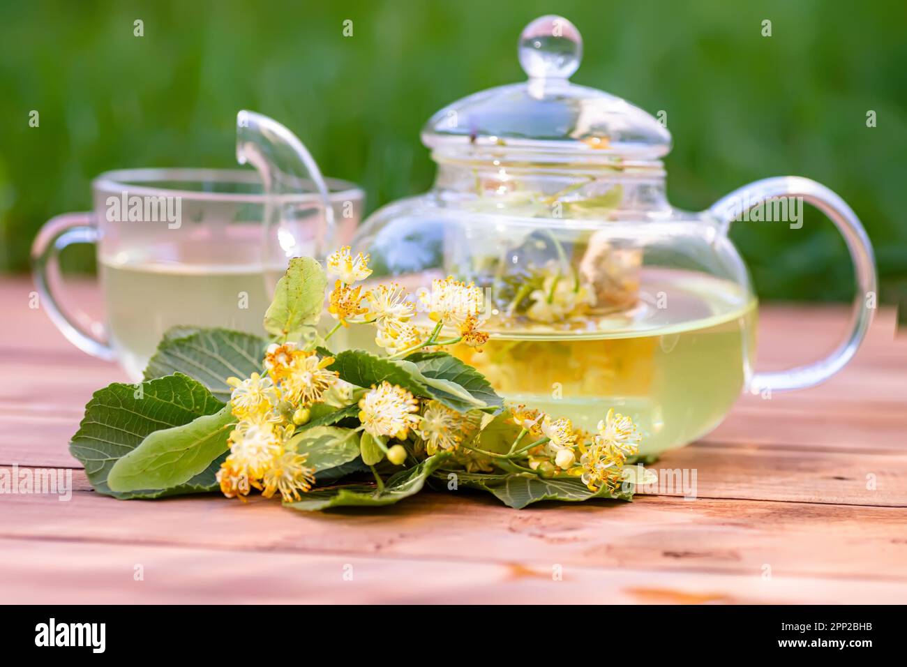 eine tasse heißen Lindentee mit Honig und Lindenblumen auf einem Holztisch im Garten. goldene Teefarbe und Süße von Honig und Blume köstlich und soo Stockfoto