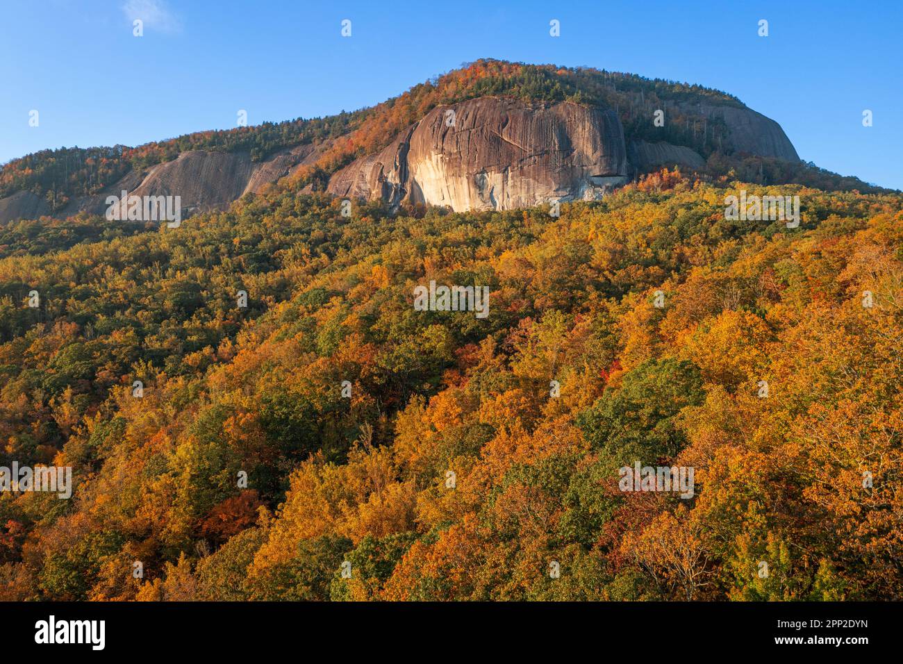 Pisgah National Forest, North Carolina, USA Blick auf Glass Rock während der Herbstsaison am Morgen. Stockfoto