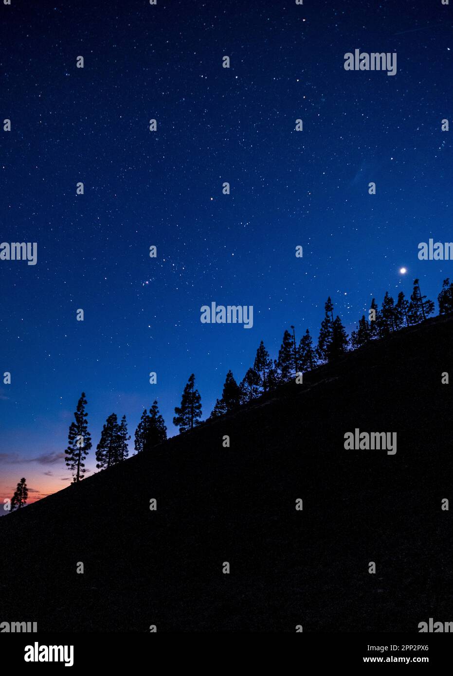 Sterne am Hang des Montaña Samara, Teide National Park, Teneriffa, Kanarische Inseln, Spanien Stockfoto