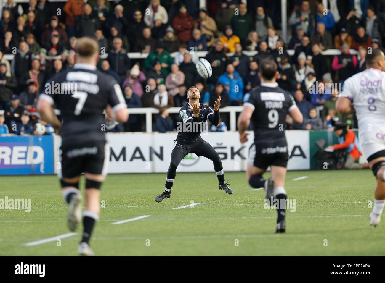 Newcastle, Großbritannien. 21. April 2023. Elliott Obatoyinbo von Newcastle Falcons sammelt am Freitag, den 21. April 2023, beim Gallagher Premiership Match zwischen Newcastle Falcons und Northampton Saints im Kingston Park, Newcastle, einen Highball. (Foto: Chris Lishman | MI News) Kredit: MI News & Sport /Alamy Live News Stockfoto