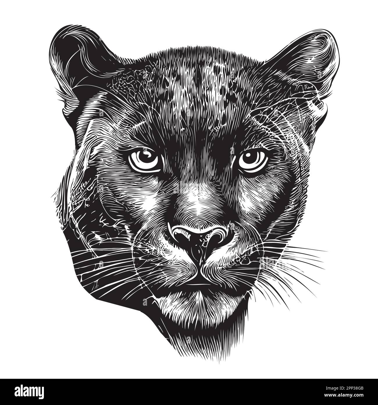 Schwarzer Panther, von Hand gezeichnete Zeichnung, wilde Tiere Stock Vektor