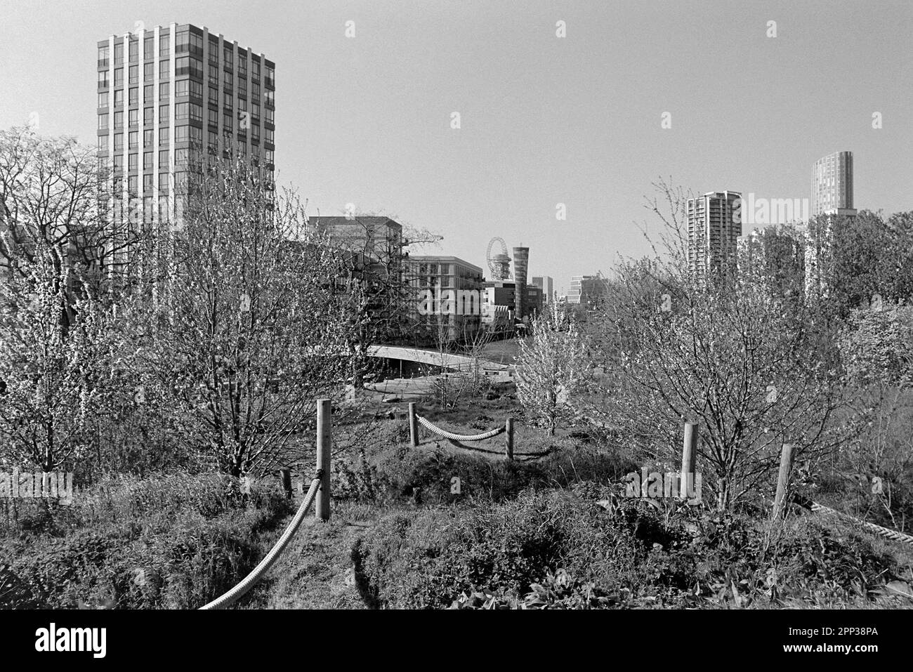 Blick über Three Mills Park, Bromley-by-Bow, East London UK, mit Blick auf Stratford, mit neuen Apartmentblocks, in Monochome Stockfoto