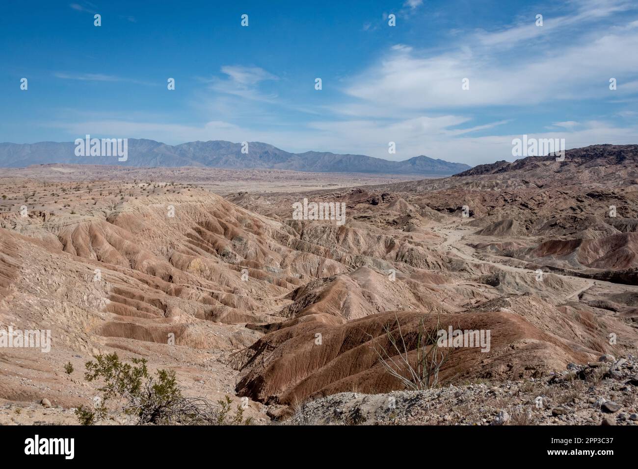 Im Anza Borrego Desert State Park könnt ihr die Badlands im Slot Canyon bestaunen und die farbenfrohe, geschwungene Landschaft in der Colorado-Wüste im Süden Kaliforniens bewundern. Stockfoto