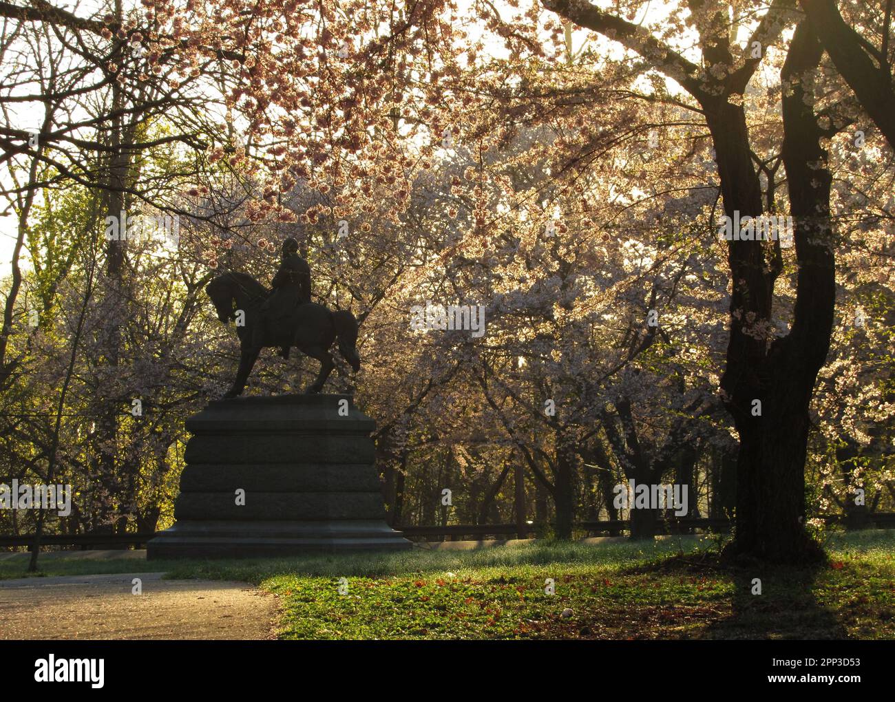 Blühende Kirschbäume umgeben eine Statue von General George Meade im Fairmount Park von Philadelphia. Stockfoto