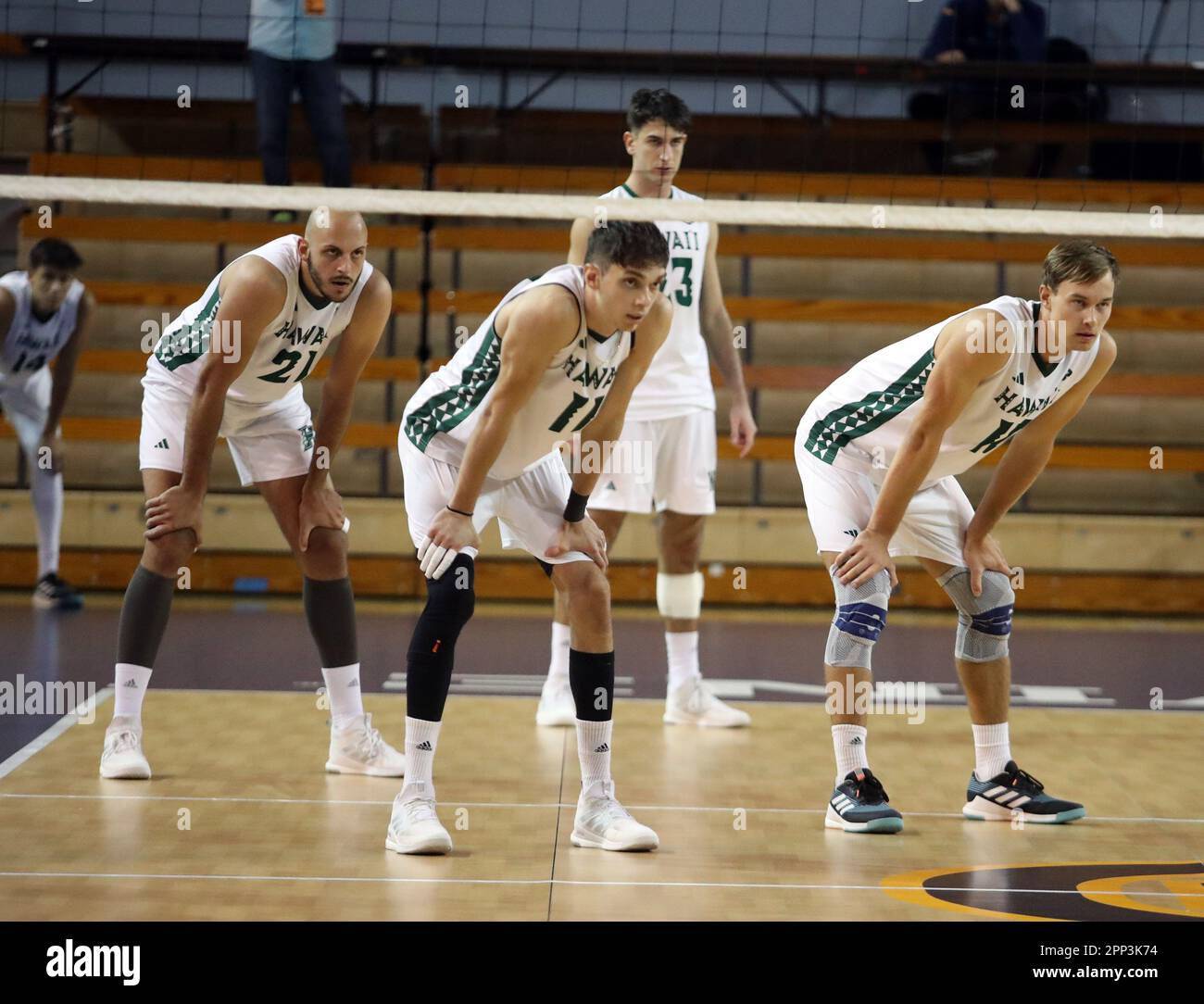 21. April 2023 - Hawaii Rainbow Warriors Guilherme Voss #21, Hawaii Rainbow Warriors Dimitrios Mouchlias #11, Hawaii Rainbow Warriors Spyros Chakas #23 und Hawaii Rainbow Warriors Jakob Thelle #10 erwarten Service während eines Halbfinalspiels der Big West Conference Championships zwischen der UC Santa Barbara Gauchos und den Hawaii Rainbow Warriors im Bren Events Center in Irvine, CA - Michael Sullivan/CSM(Kreditbild: © Michael Sullivan/Cal Sport Media) Stockfoto