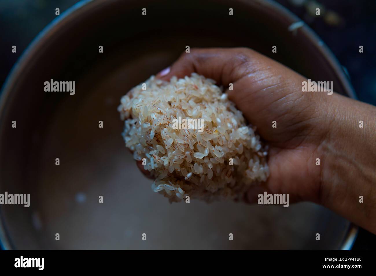 Getränkter organischer, nicht polierter Reis, der von Hand mit der Schüssel im Hintergrund mit Wasser aufgefüllt wurde, in dem er getränkt wurde. Wasserbraune Farbe Stockfoto