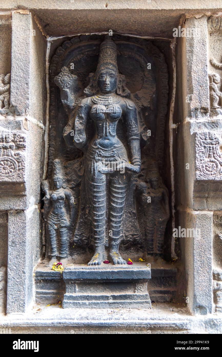 Auf dem Gopuram des Nataraja-Tempels in Chidambaram sind Tamil Nadu, Indien, geschnitzte tanzende Idole. Stockfoto