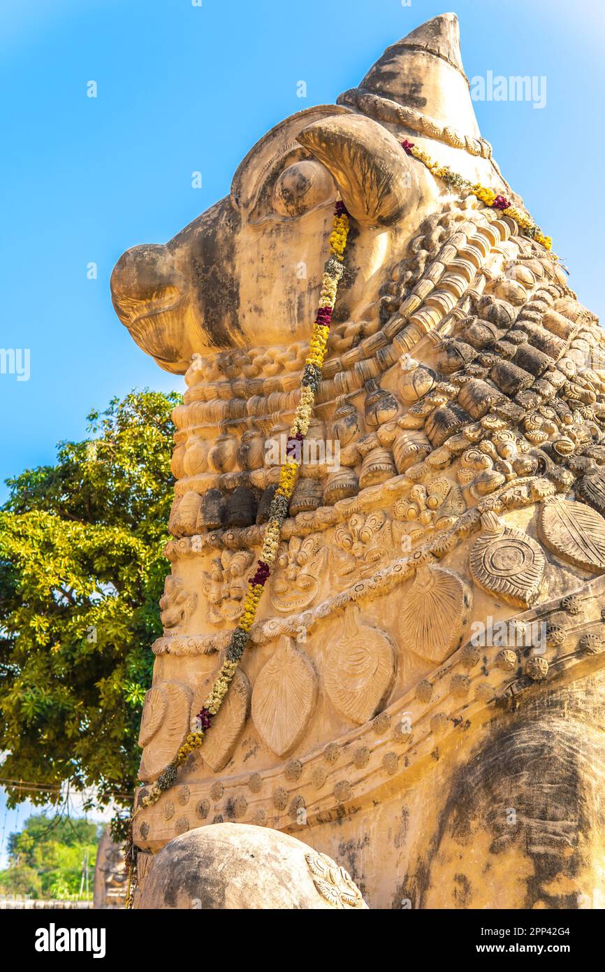 Die Nandhi-Statue im Gangai Konda Cholapuram ist eine majestätische und verehrte Skulptur, die den heiligen Stier Nandhi darstellt und als göttliches Fahrzeug dient Stockfoto