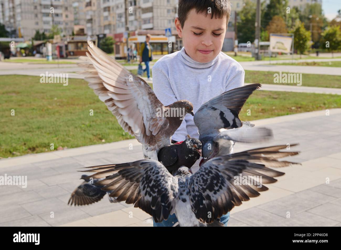 Selektivfokus von Taubenherden, die in die Hände von Jungen fliegen und sie auf dem Stadtplatz mit Samen füttern. Das Konzept von Liebe, Mitgefühl, Freundlichkeit und Fürsorge für Stockfoto