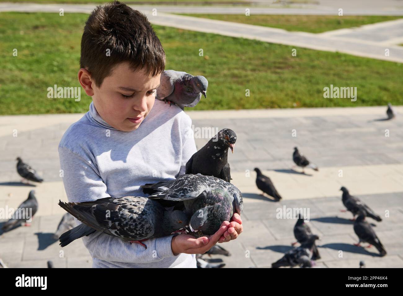 Ein bezaubernder, multiethnischer Junge, 10 Jahre alt, füttert Tauben an einem sonnigen Tag auf dem Stadtplatz. Liebe und Fürsorge für Tiere. Menschen- und Naturbegriff Stockfoto