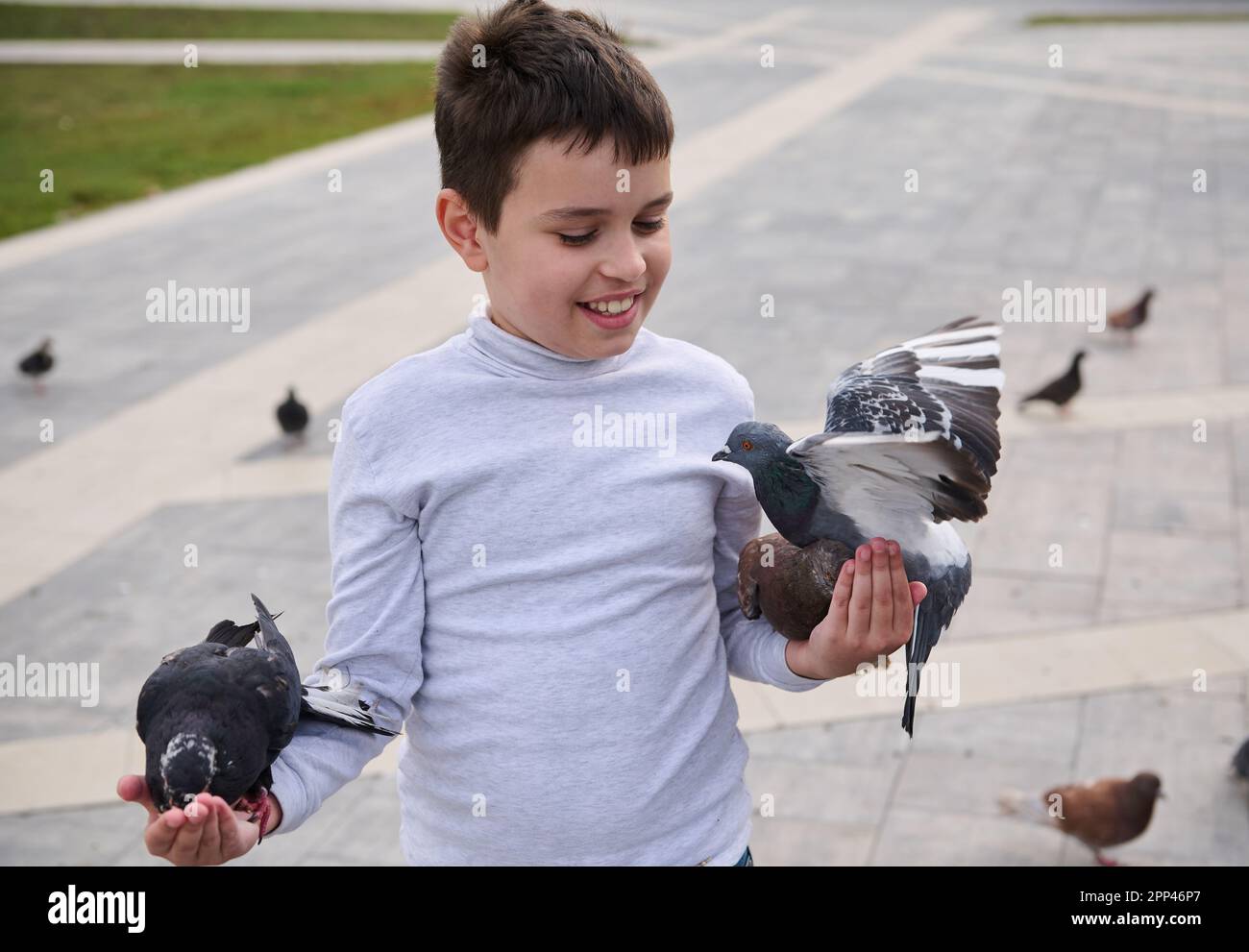 Kaukasischer, bezaubernder, glücklicher Junge, der lächelt, Spaß hat, sich mit wilden Tieren verbindet, während er wilde Tauben auf dem Platz eines Stadtparks füttert. Kind Stockfoto