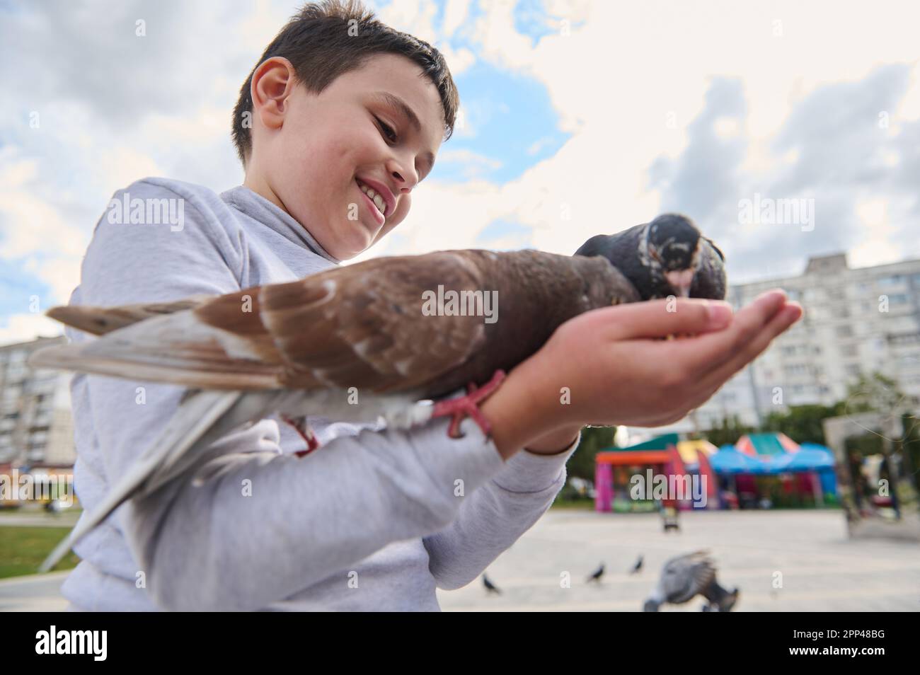 Ein bezaubernder Junge füttert Felsentauben, die auf seinen Händen sitzen, lächeln, positive Emotionen ausdrücken, während er sich mit Tieren verbindet, die auf der Straße gehen. Das c Stockfoto