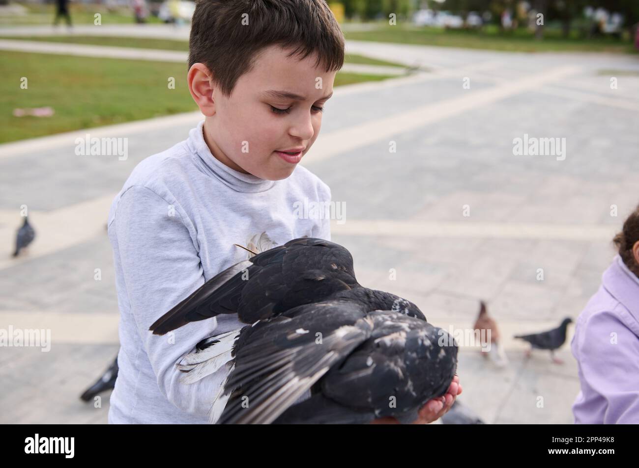 Ein bezaubernder Schuljunge, der im Park wilde Tauben füttert. Das Konzept der Fürsorge, Freundlichkeit und Liebe für wilde Tiere Stockfoto