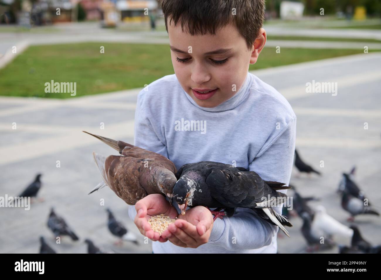 Nahaufnahme des kaukasischen, bezaubernden Teenagers, der während des Familienausflugs Spaß hat und Vögel aus seinen Händen auf dem Park Square füttert. Der Begriff der Güte Stockfoto