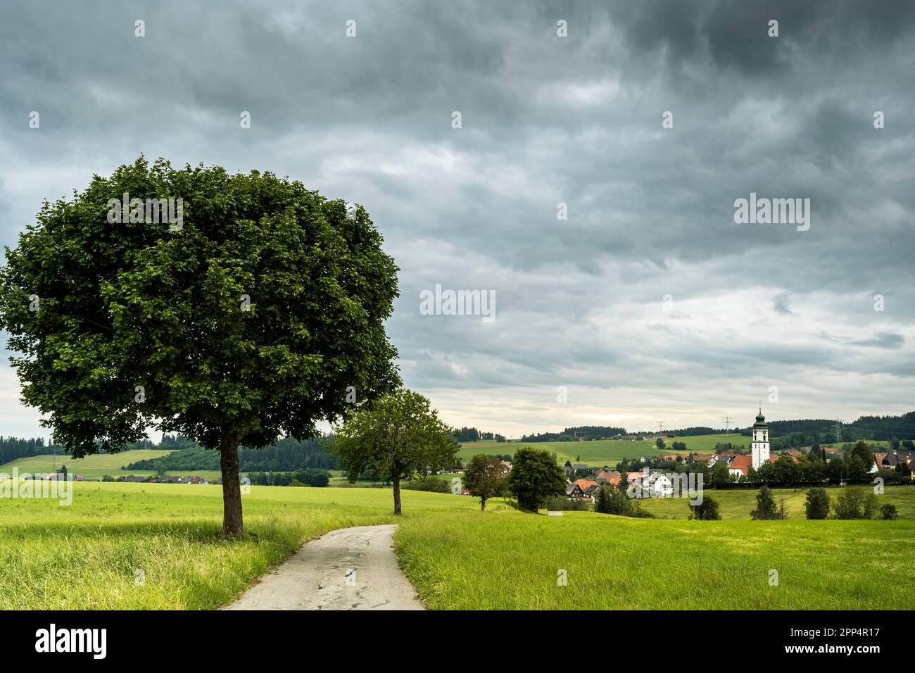 Landschaft im Schwarzwald. Eine kleine Straße, die zum Dorf Grafenhausen im Bezirk Waldshut führt. Deutschland. Stockfoto