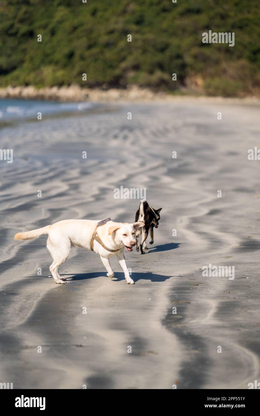 Hong Kong Beach, 2023 Stockfoto