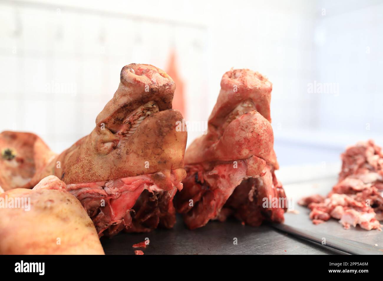 Schweineköpfe an der Theke des Fleischmarktes, Russland Stockfoto