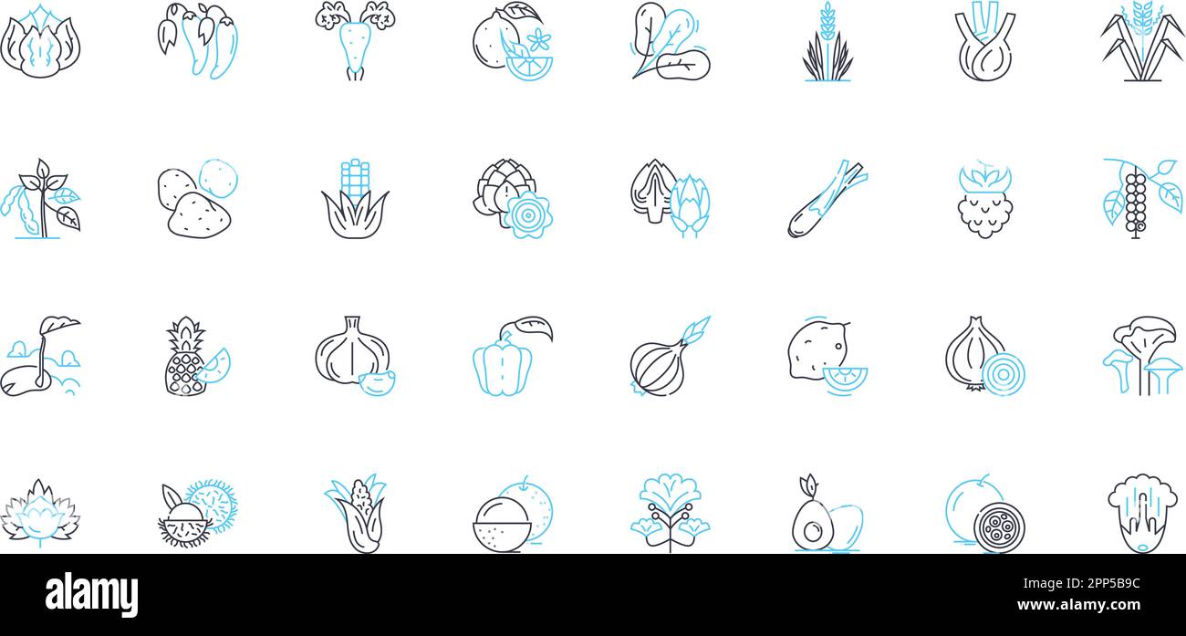 Lineares Symbolset für den Mini-Shop. Schnell, Einfach, Praktisch, Snacks, Getränke, Zigaretten, Lotterielinienvektor und Konzeptzeichen. Süßigkeiten, Kaugummi, Medizin Stock Vektor