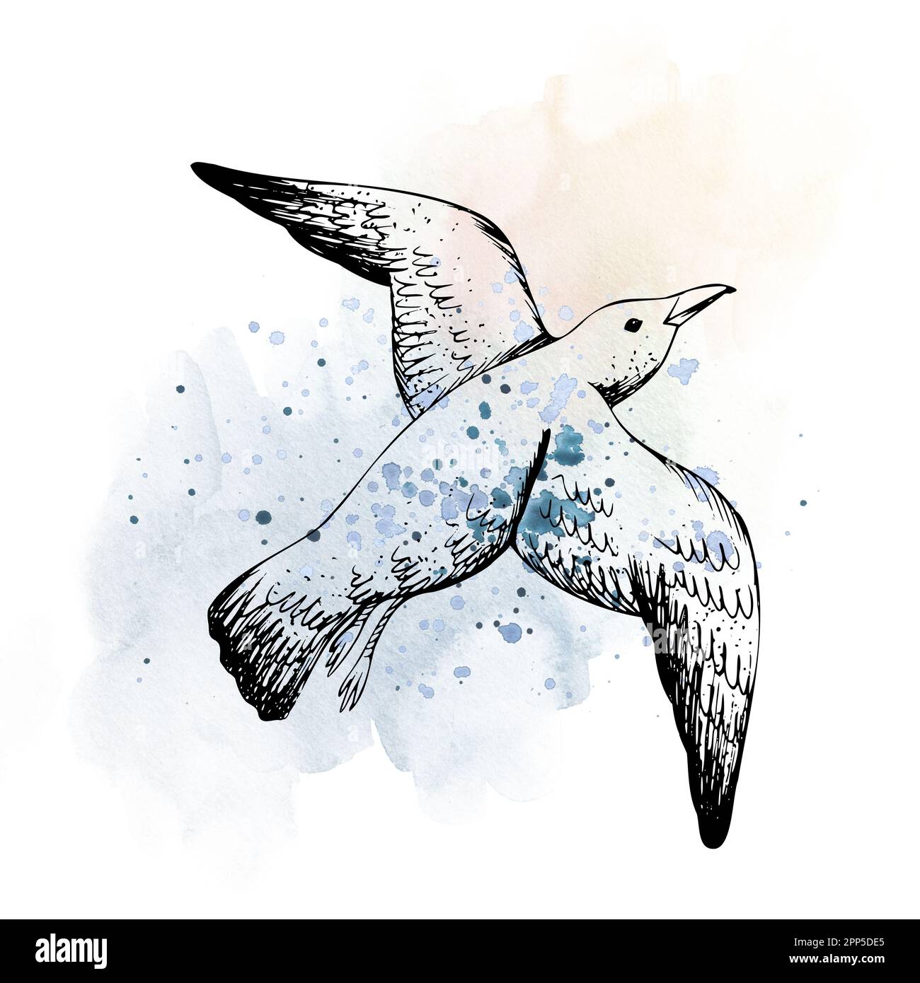 Fliegende Möwen-Motive vor dem Hintergrund von Aquarellfarben, blauen und pinkfarbenen Flecken und Spritzwasser. Handgezeichnete Illustration, Zusammensetzung isoliert Stockfoto