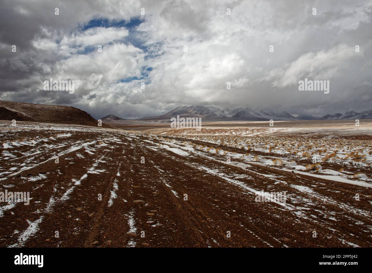 Ein kalter und bewölkter Tag im endlosen kargen Land des Bezirks Potosí, Bolivien Stockfoto