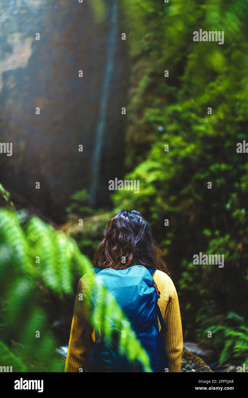 Beschreibung: Rucksacktouristin auf einem farnbedeckten Pfad mit Blick auf einen malerischen überwucherten Wasserfall im madeirischen Regenwald. Levada Caldeirão Verde, Stockfoto