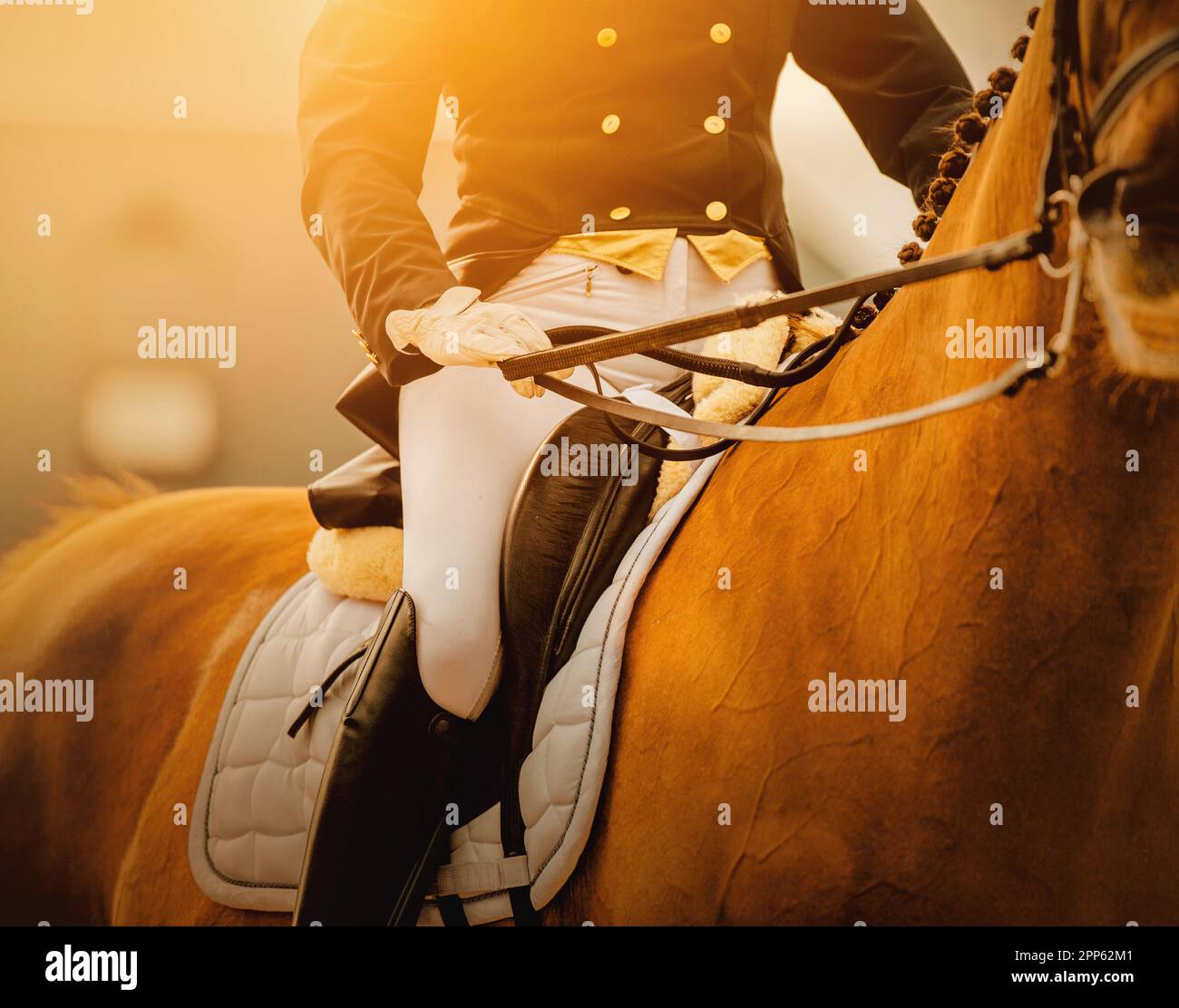 Der Reitersitz im Sattel, sein Pferd folgte gehorsam seinen Befehlen. Das Foto zeigt die Anmut und die Fähigkeiten, die zum Beherrschen der Kunst erforderlich sind Stockfoto