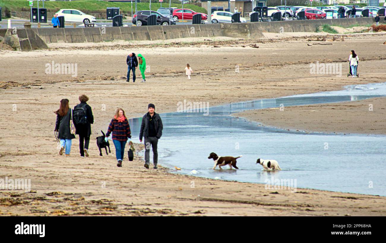 Ayr, Scotland, UK 22. , April 2023. Wetter in Großbritannien: Der sonnige Strand von Ayr begann in der Sommersaison. Credit Gerard Ferry/Alamy Live News Stockfoto
