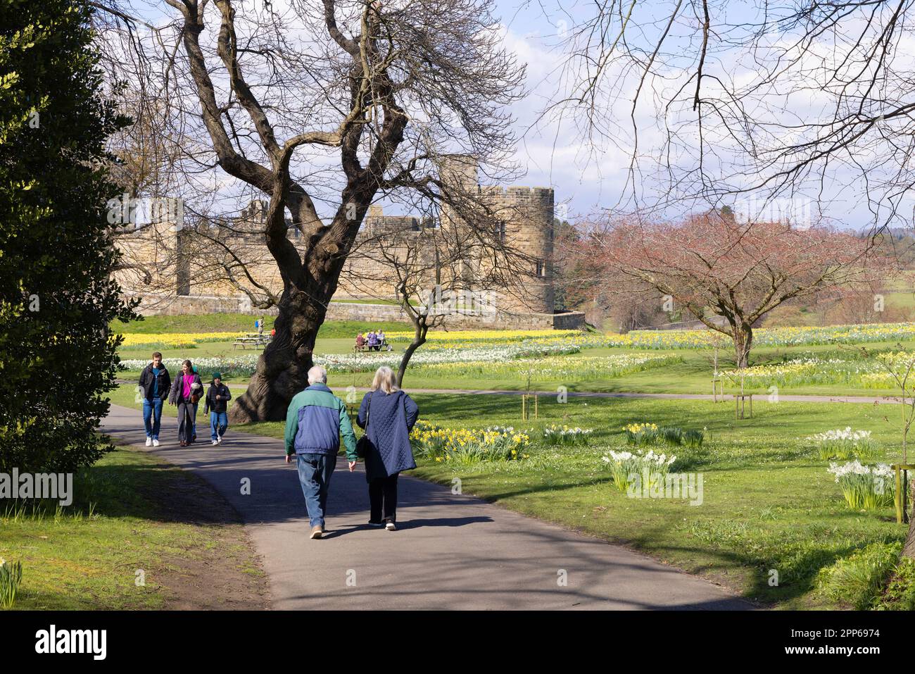 Alnwick Castle Northumberland; ein großes mittelalterliches Schloss aus dem 12. Jahrhundert. Besucher in den Schlossgärten an einem sonnigen Frühlingstag; Alnwick Northumberland UK Stockfoto