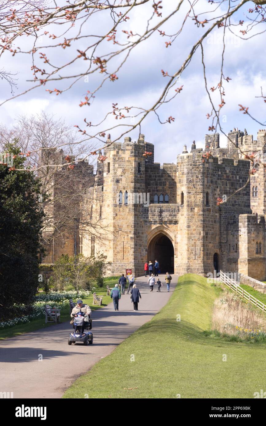 Alnwick Castle Northumberland; ein großes mittelalterliches Schloss aus dem 12. Jahrhundert. Besucher in den Schlossgärten an einem sonnigen Frühlingstag; Alnwick Northumberland UK Stockfoto