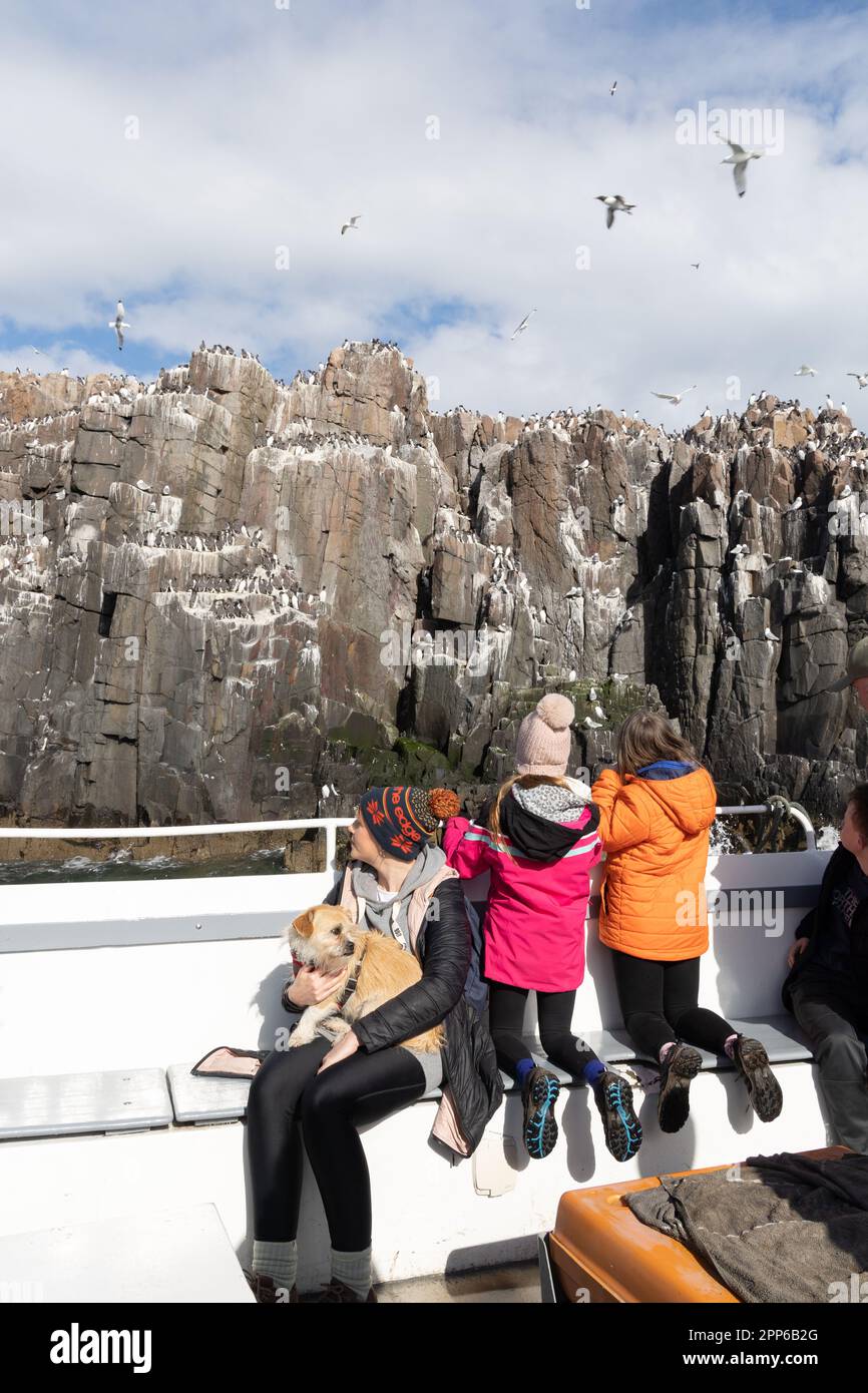 Eine Familie mit Kindern auf einer Bootsfahrt zur Vogelbeobachtung zu den Farne Islands Northumberland UK; Familienurlaub Großbritannien Stockfoto