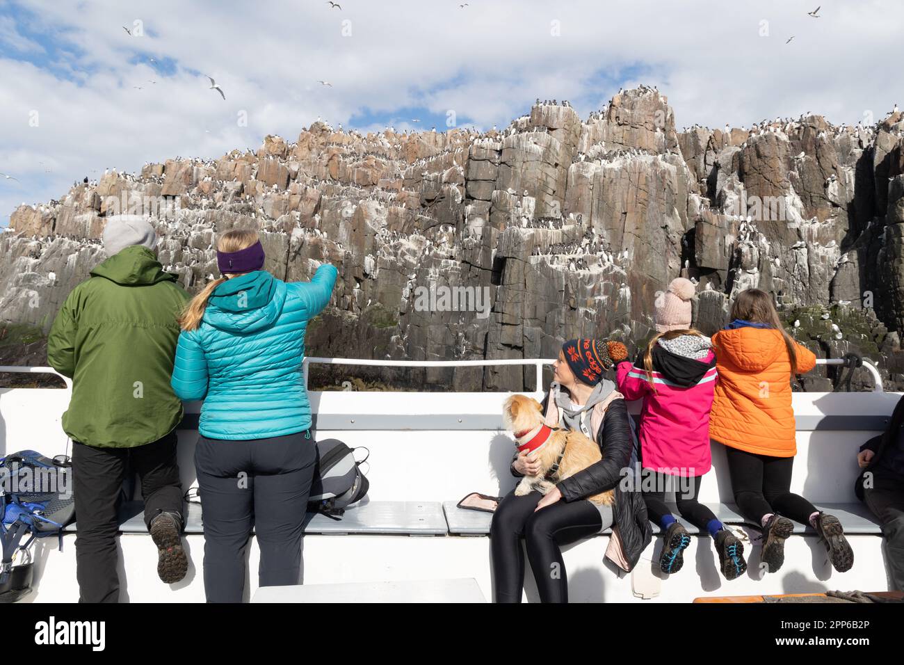 Eine Familie mit Kindern auf einer Bootsfahrt zur Vogelbeobachtung zu den Farne Islands Northumberland UK; Familienurlaub Großbritannien Stockfoto