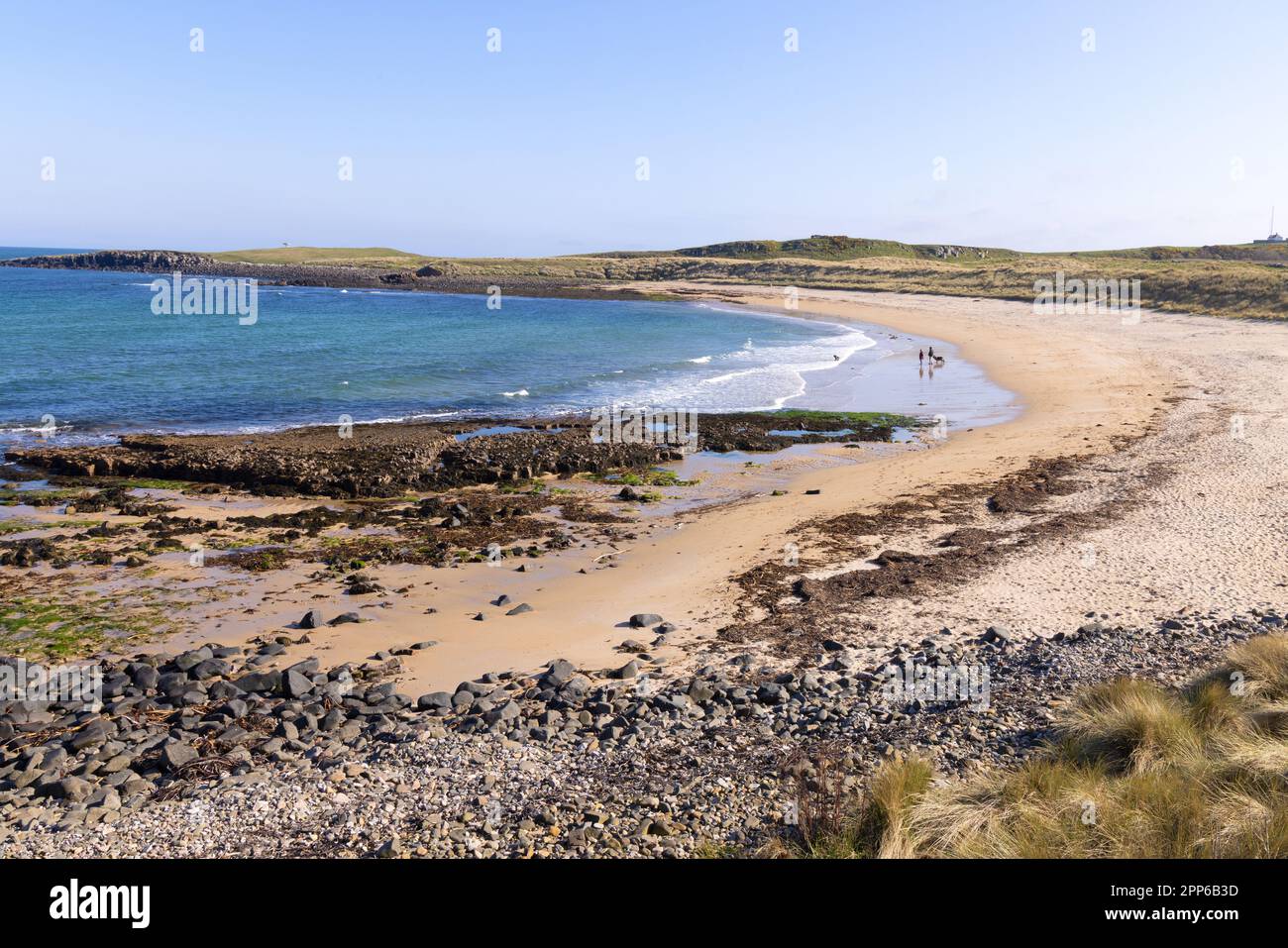 UK Beach; Football Hole Beach ein nicht überfüllter Sandstrand, Football Hole Bay, Low Newton by the Sea Landscape, Northumberland Coast, Northumberland UK Stockfoto