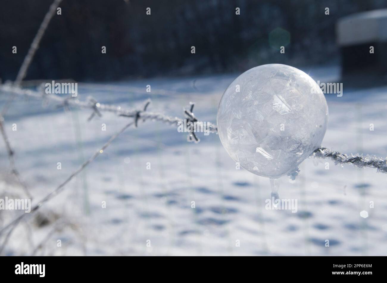 Gefrorene Eisblase. Stockfoto